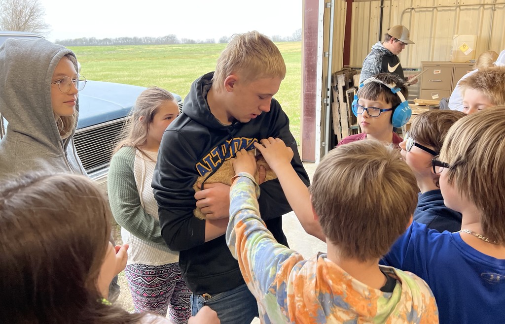 students pet animal at ag days