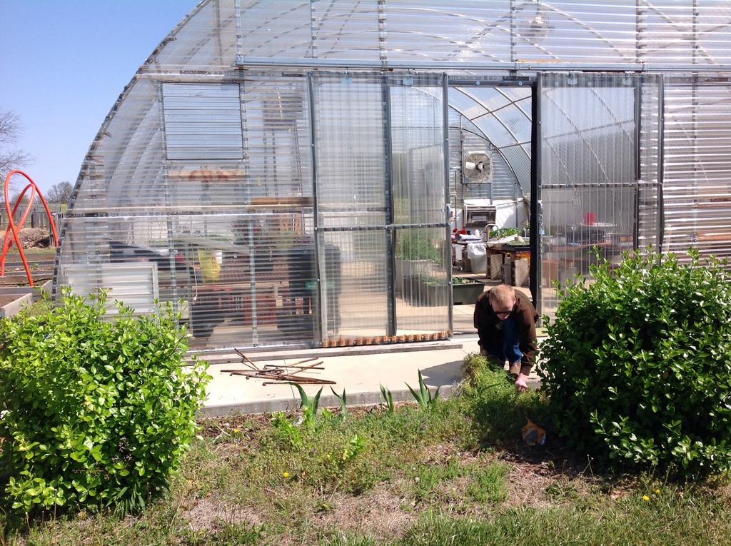 student works at greenhouse